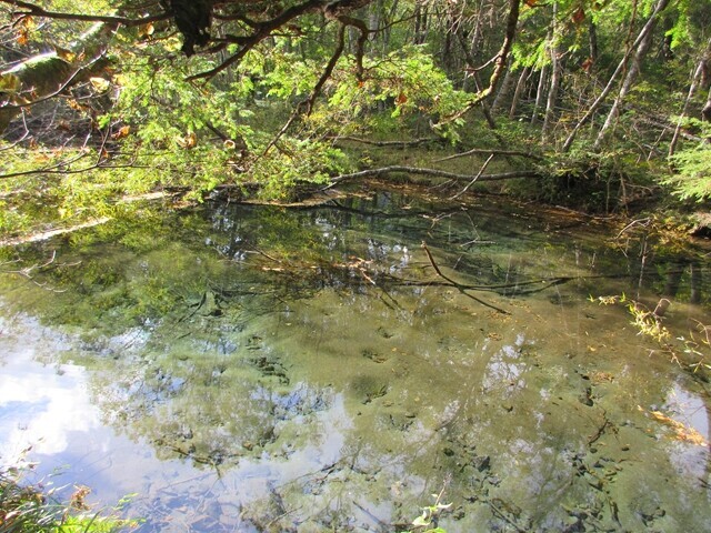 徳澤園から上高地の下山道は綺麗な沢沿い歩き