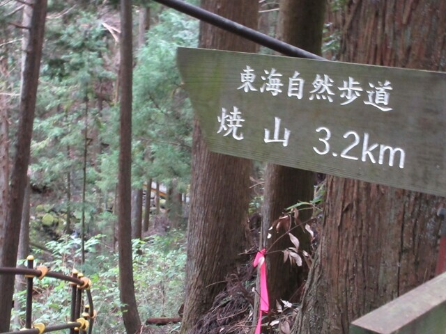 丹沢主脈縦走路ヤマビル