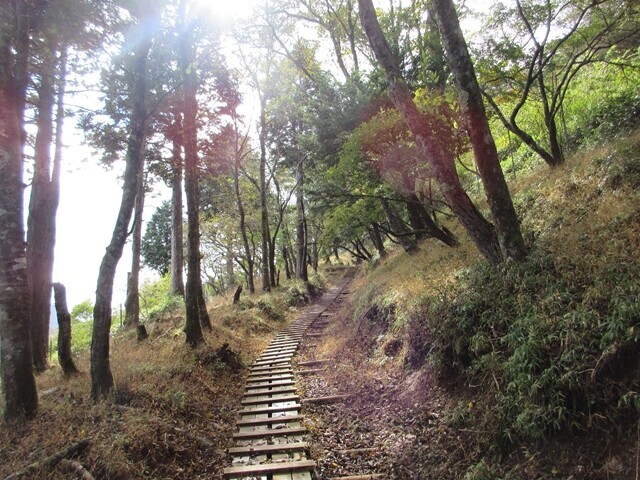 丹沢主脈縦走日帰り登山中に歩いた木道