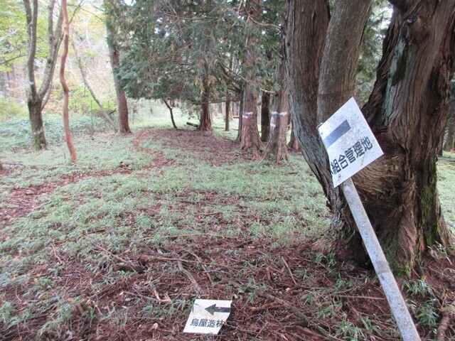 丹沢主脈縦走路と棒の嶺分岐地点