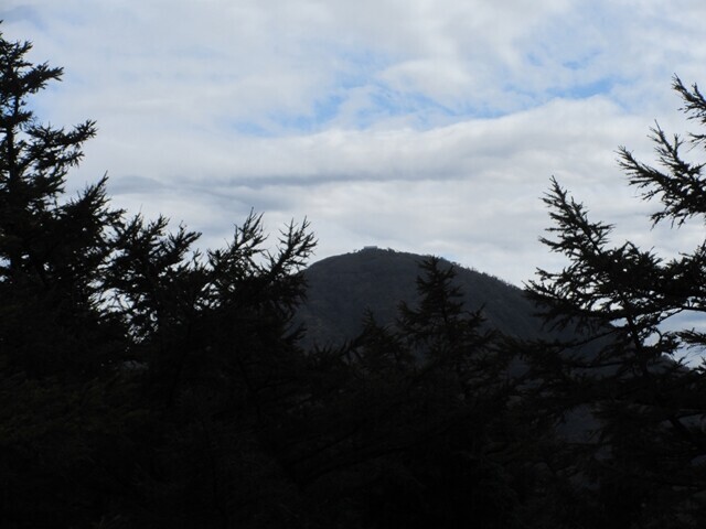 丹沢主脈縦走日帰り登山で到着した姫次