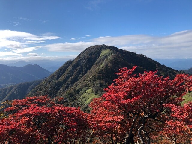 丹沢主脈縦走日帰り登山