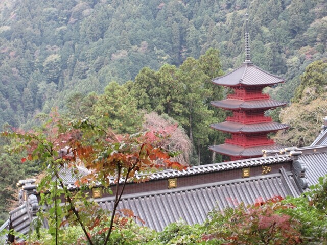 奥之院参道東コース