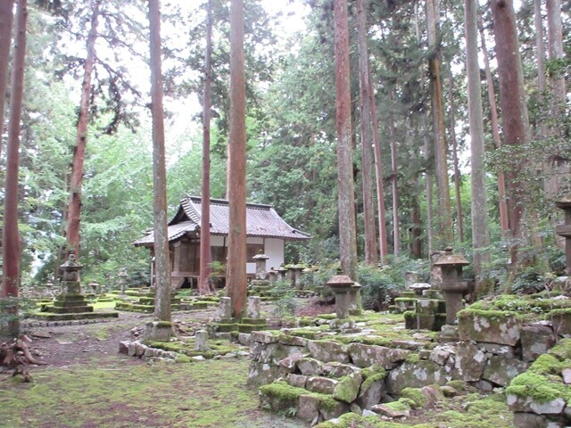 奥之院参道東コースの登山ルートの雰囲気の良い場所