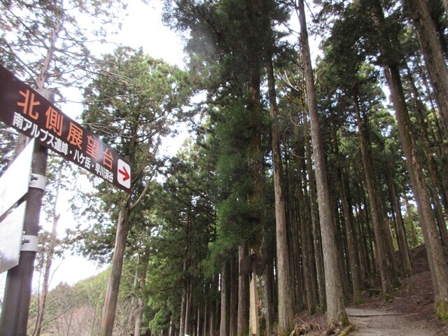 北側展望台とロープウェイ駅の分岐