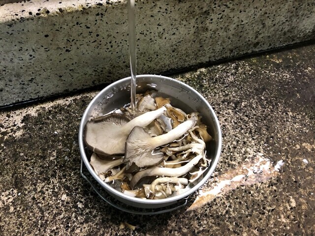 キノコを洗っている様子
