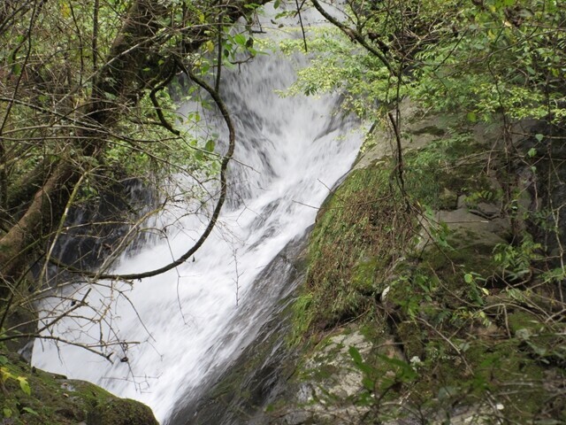 徳間峠登山口付近の川の様子