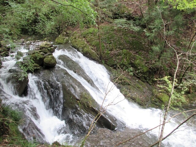 登山口から徳間峠までの登山ルート詳細