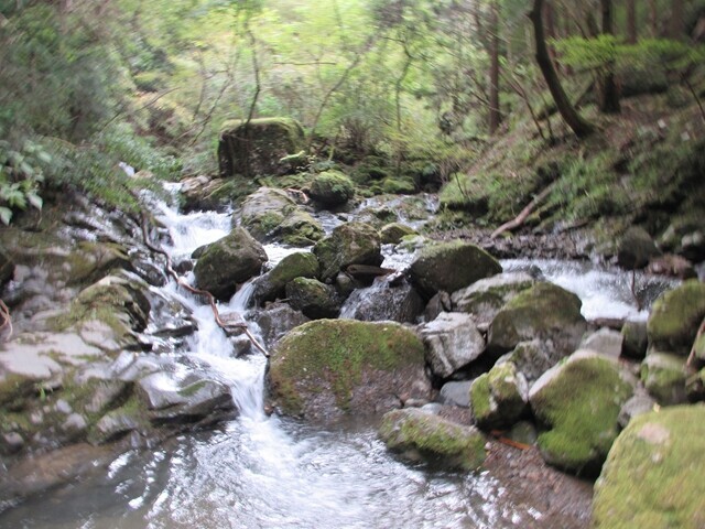 徳間峠渡渉箇所