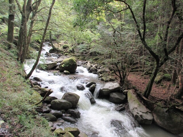 樽峠登山口の駐車場まで悪路と落石で林道を歩いている様子