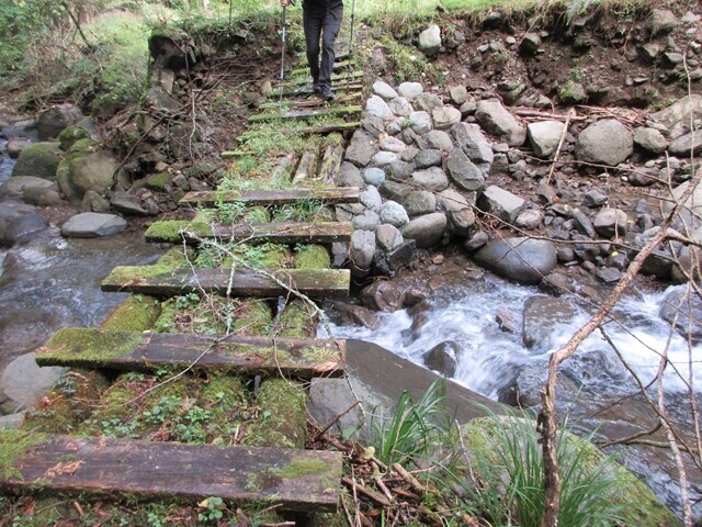 高ドッキョウ登山口の直ぐ近くにある木の橋