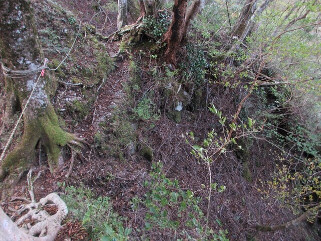 高ドッキョウの登山道の危ない場所