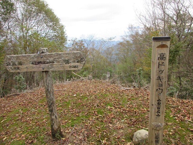 山梨百名山である高ドッキョウの山頂