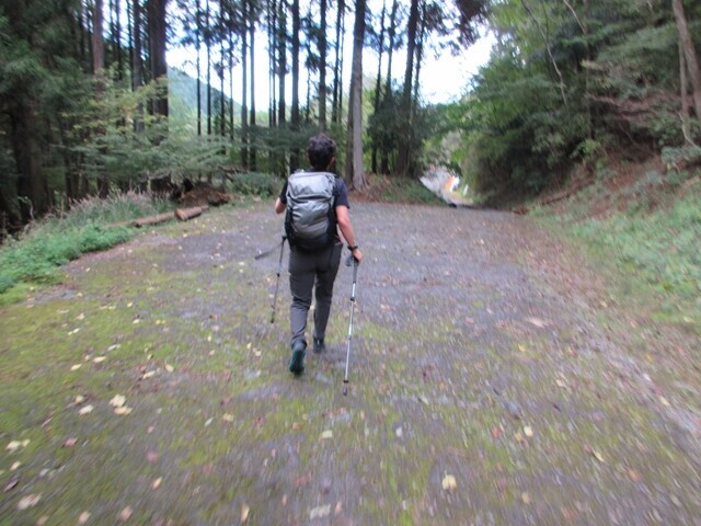 樽峠登山口付近の駐車場の様子