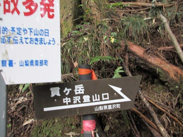 中沢登山口から貫ヶ岳の山頂を目指して登山スタートの様子