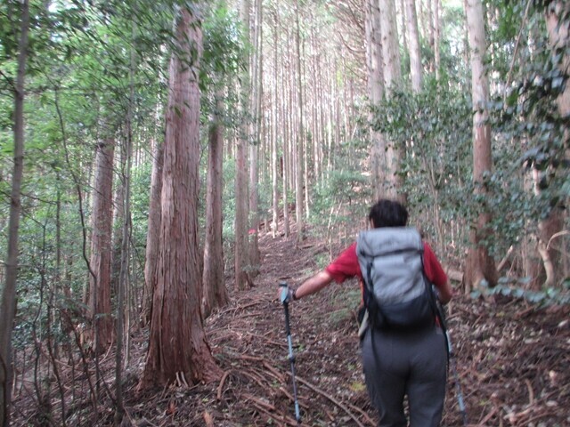 貫ヶ岳へ一緒に登った山ガール