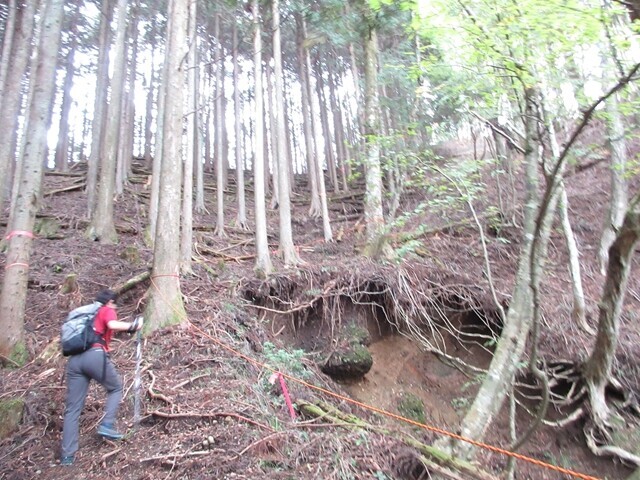 貫ヶ岳の山頂への登山ルート