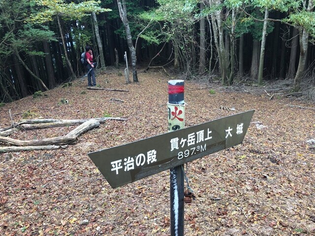 山梨百名山貫ヶ岳の山頂の様子