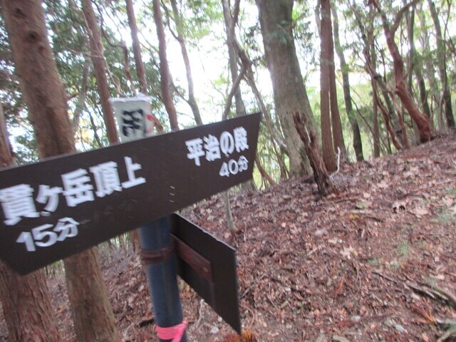 平治の段登山ルート