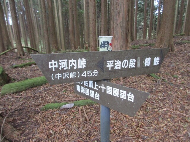 平治の段と中河内峠の分岐