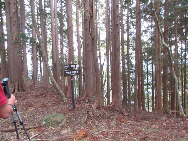 平治の段から貫ヶ岳下山の様子