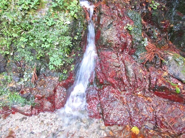 竜ヶ岳水場