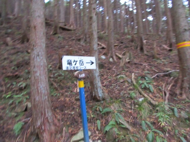 竜ヶ岳遠足尾根登山口