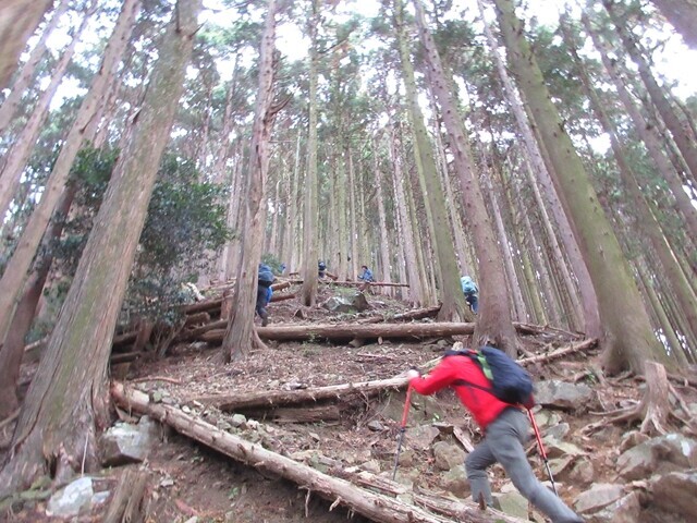竜ヶ岳三重の遠足尾根