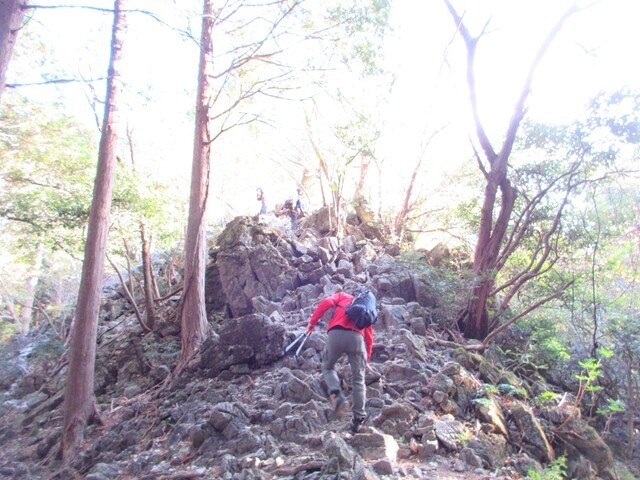 竜ヶ岳三重の遠足尾根の登山ルート