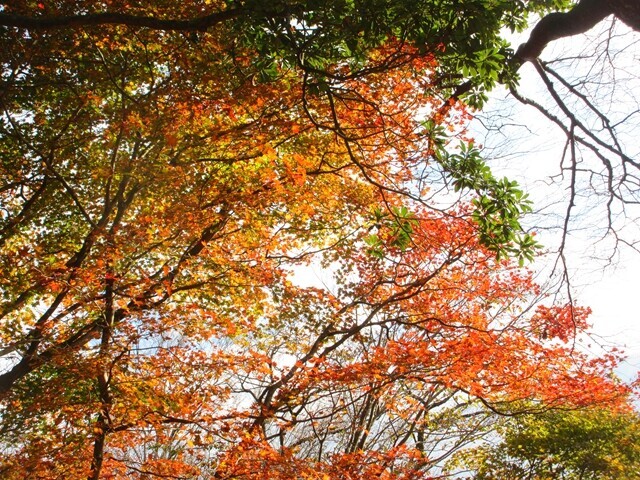 初めて登る竜ヶ岳
