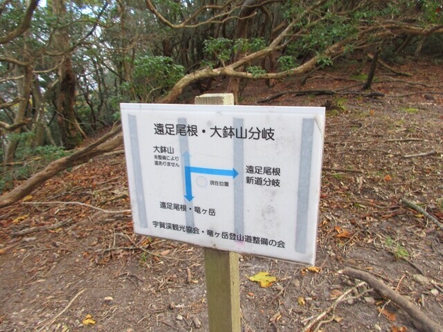 竜ヶ岳と大鉢山への分岐