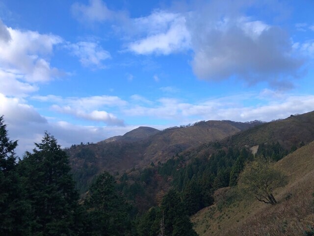 遠足尾根から眺める竜ヶ岳