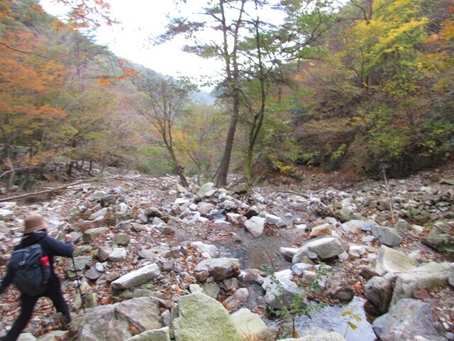 中道コースの沢沿いの登山道