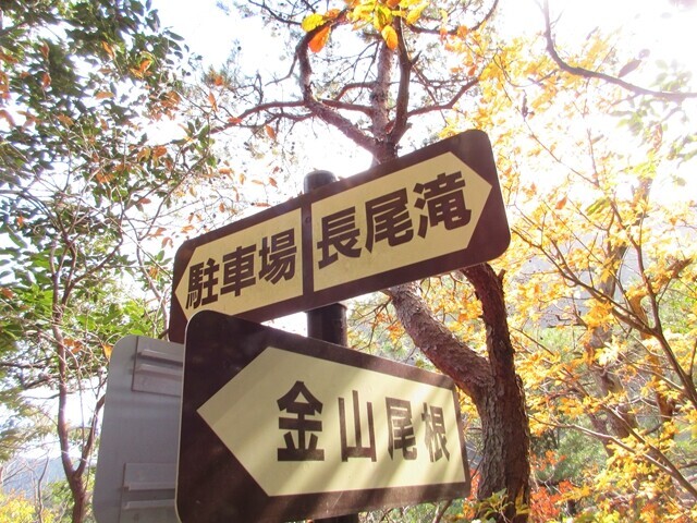 金山尾根の分岐地点
