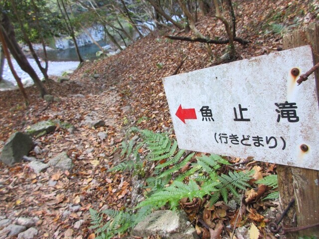 魚止滝分岐地点