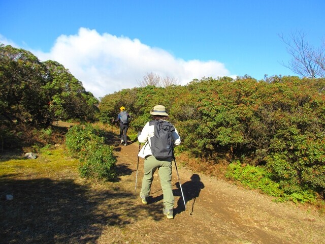 入道ヶ岳北尾根は難易度高めな急登な登山ルート