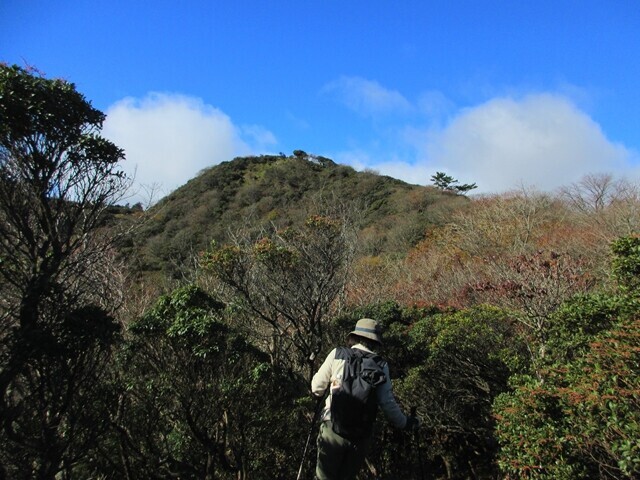 入道ヶ岳の山頂を遠望
