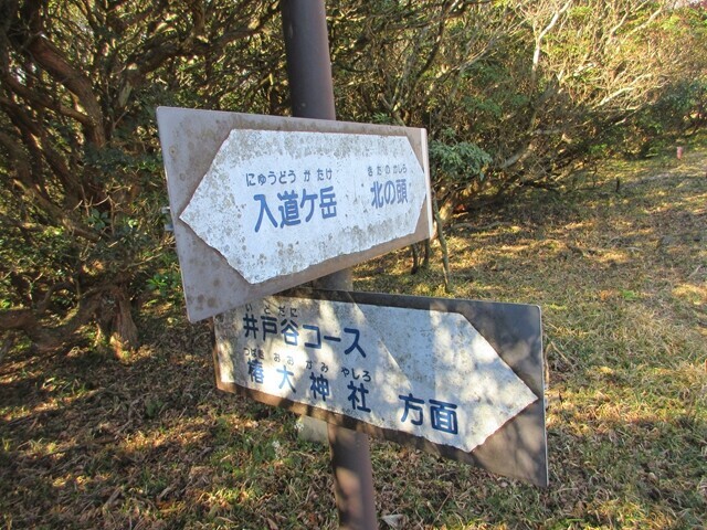 井戸谷コースの分岐