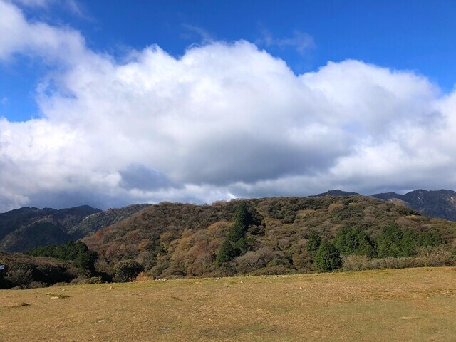 入道ヶ岳の山頂は広くて休憩するのに最適