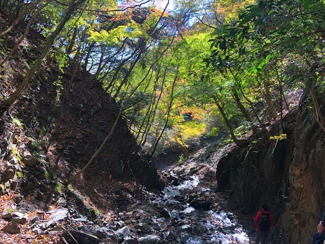 入道ヶ岳井戸谷コースは難易度高めな登山ルート