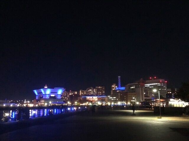 アンティーカ ピッツェリア ダ ミケーレ横浜の近くにある横浜大桟橋の夜景をレビュー