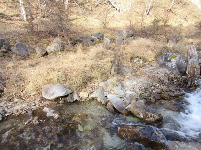 笠取山分水嶺の渡渉ポイント