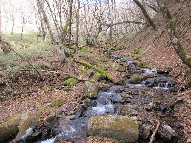 笠取山テント泊中に歩いた登山ルートの景色
