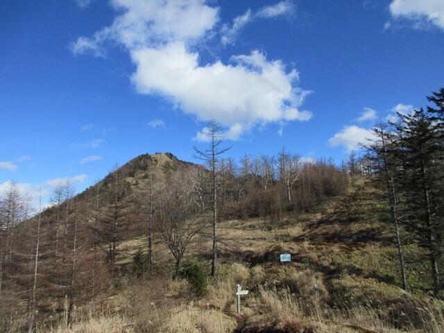 分水嶺から眺める笠取山