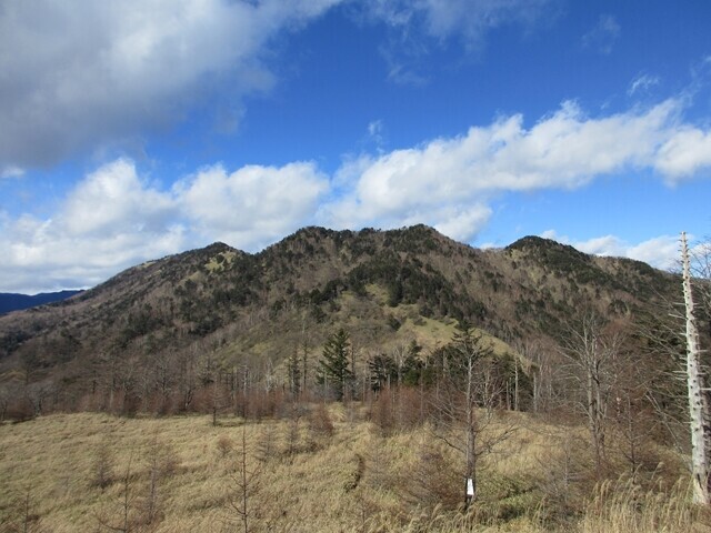 分水嶺から眺める甲武信ヶ岳方面