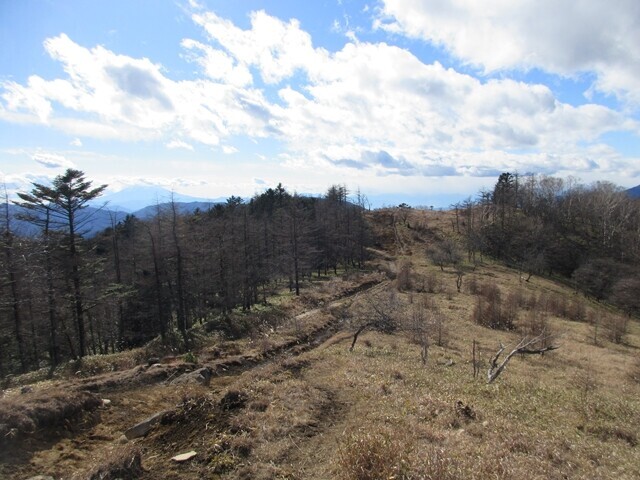 笠取山分水嶺から笠取小屋への登山ルート