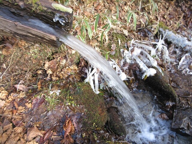 笠取山テント泊の水場