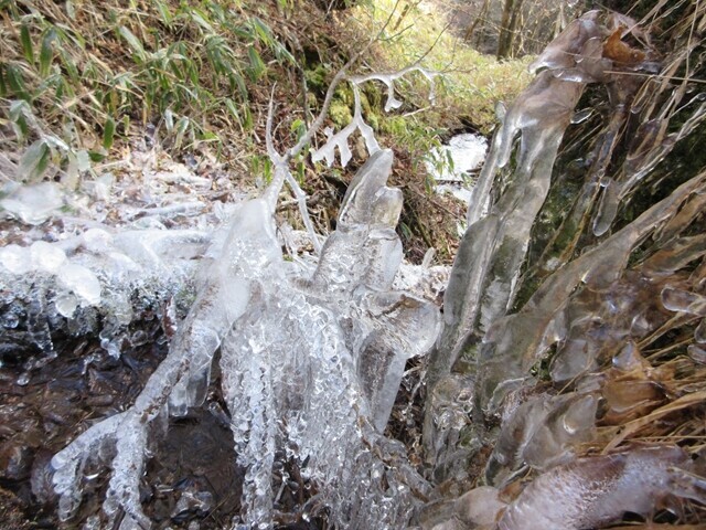 笠取山テント泊の水場周辺の様子