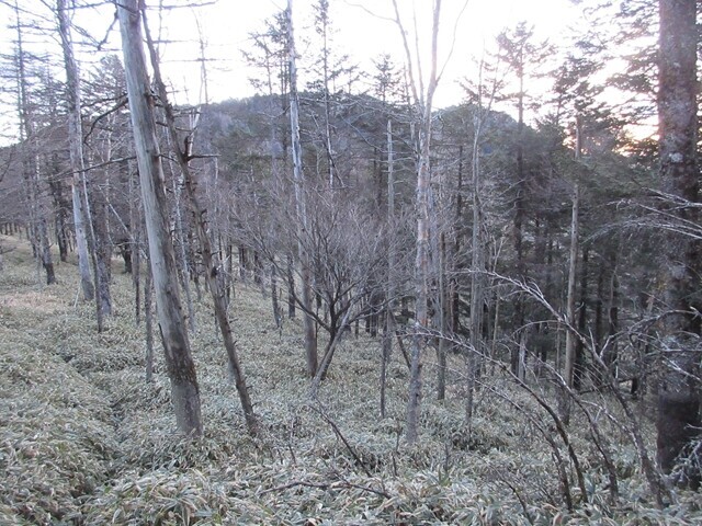 笠取山から黒槐山への登山ルートの様子