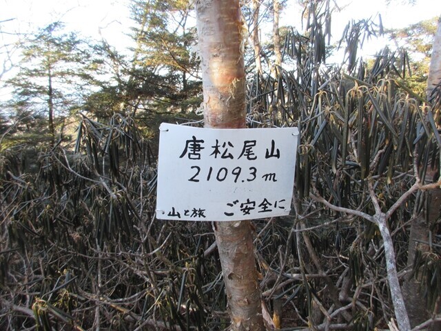 唐松尾山の標高は２，１０９.３ｍ